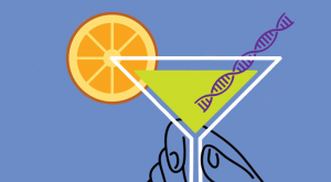 Genes and Alcohol